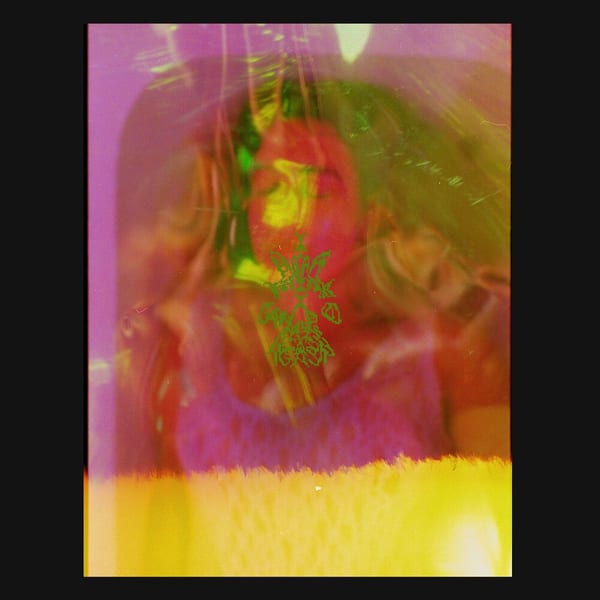 I Don’t Think I Can Do This Again cover