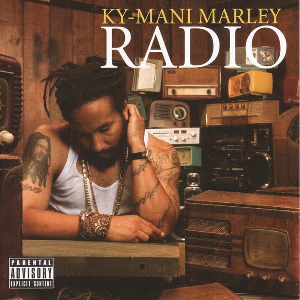 Radio cover