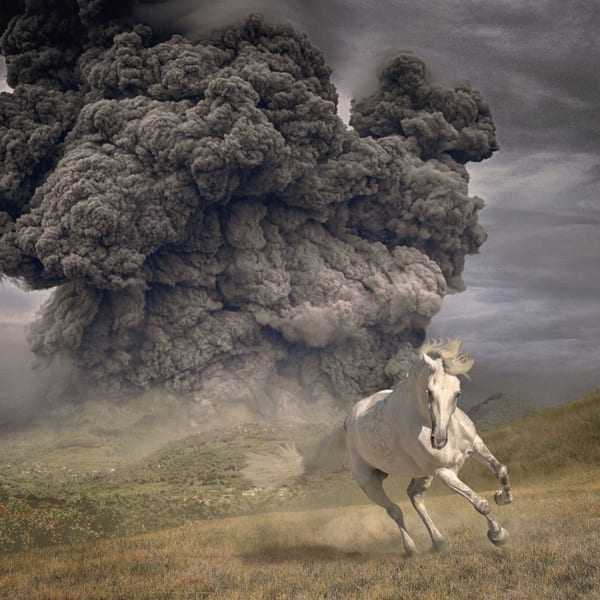 Year Of The Dark Horse cover