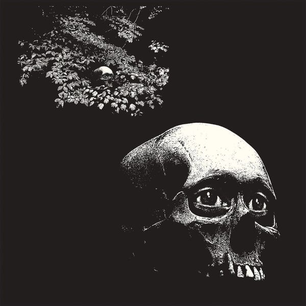 Perm Act album cover