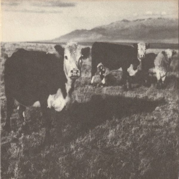 The Finally LP cover