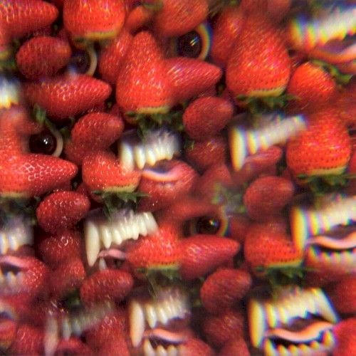 Floating Coffin cover