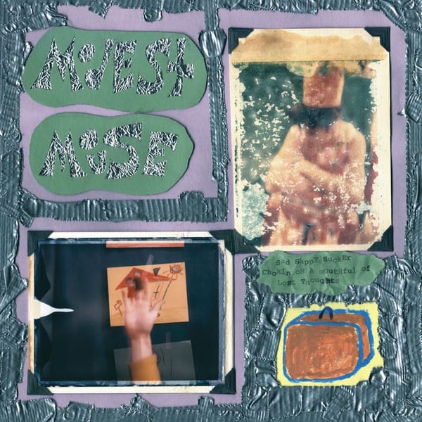 Sad Sappy Sucker cover