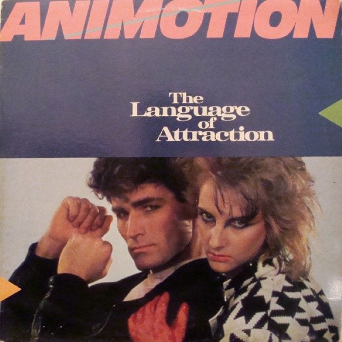 The Language of Attraction cover