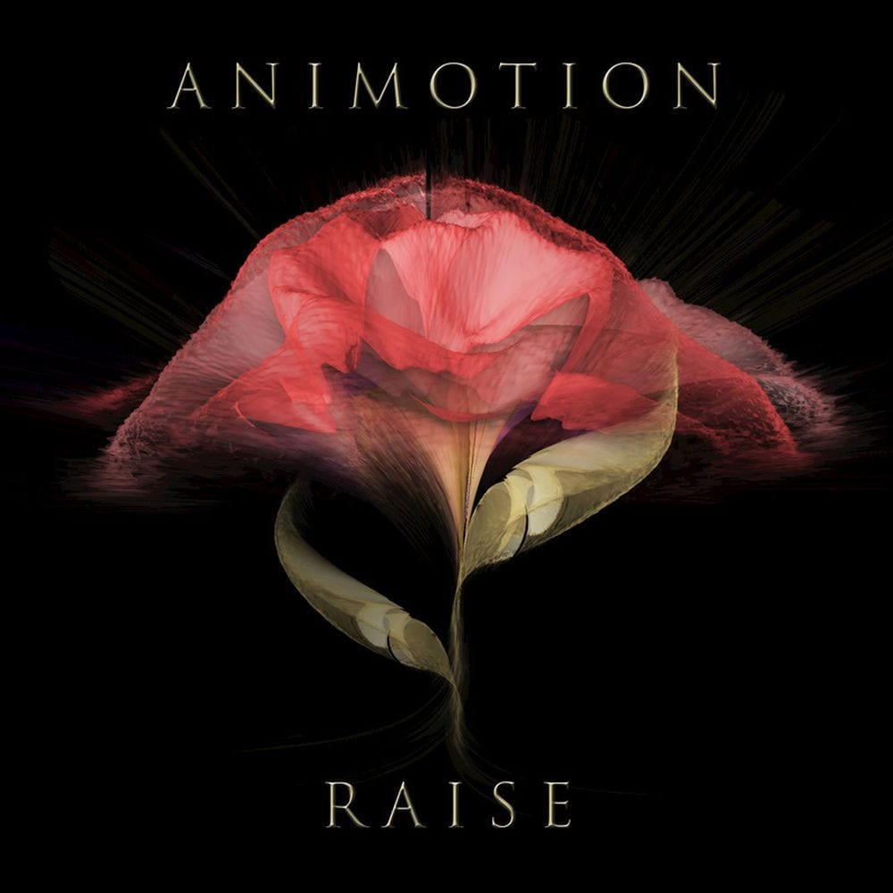 Raise Your Expectations cover