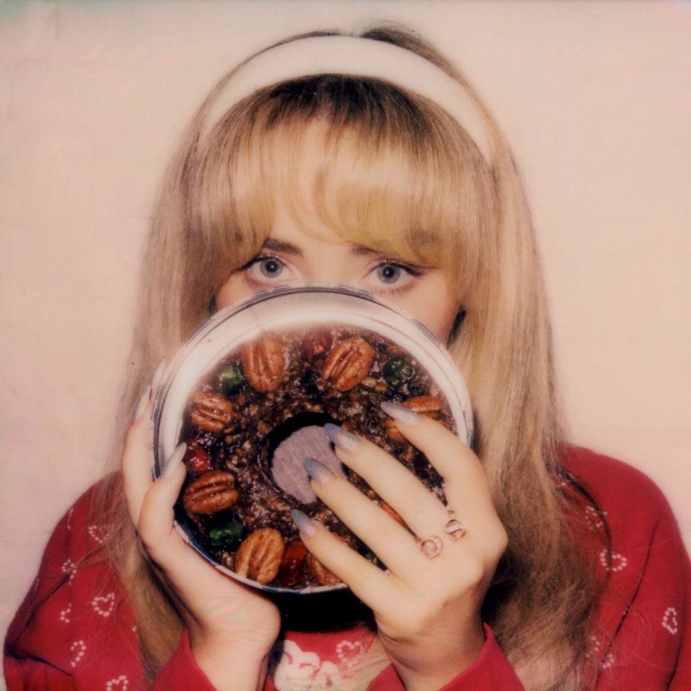 fruitcake cover