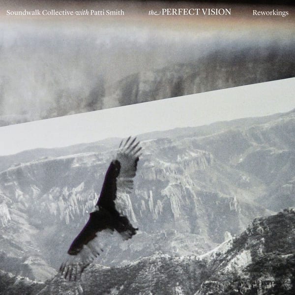 The Perfect Vision Reworkings cover