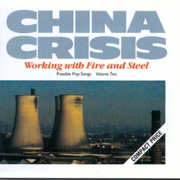 Working With Fire and Steel album cover