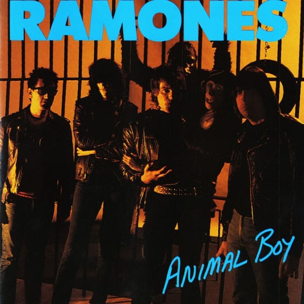 Animal Boy album cover