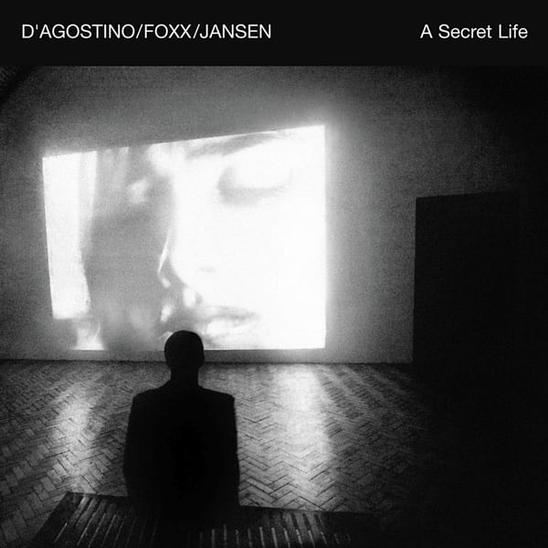A Secret Life cover