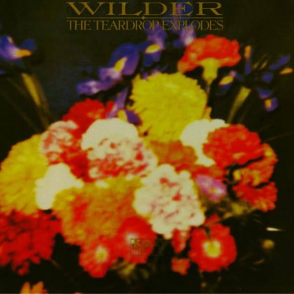 Wilder cover