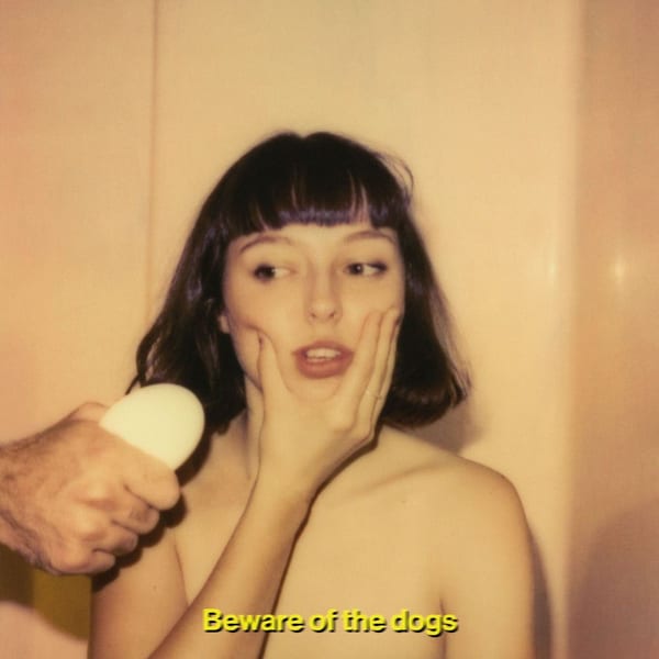 Beware of the Dogs cover
