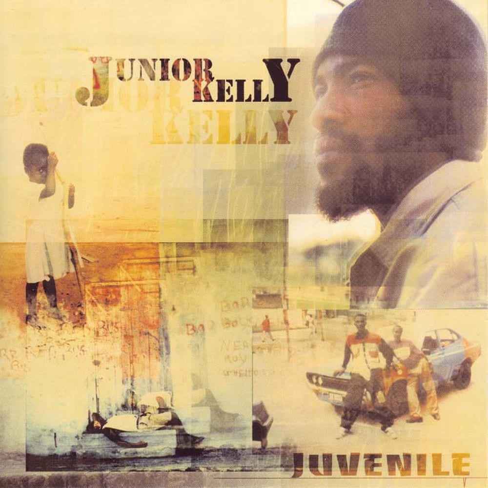 Juvenile cover