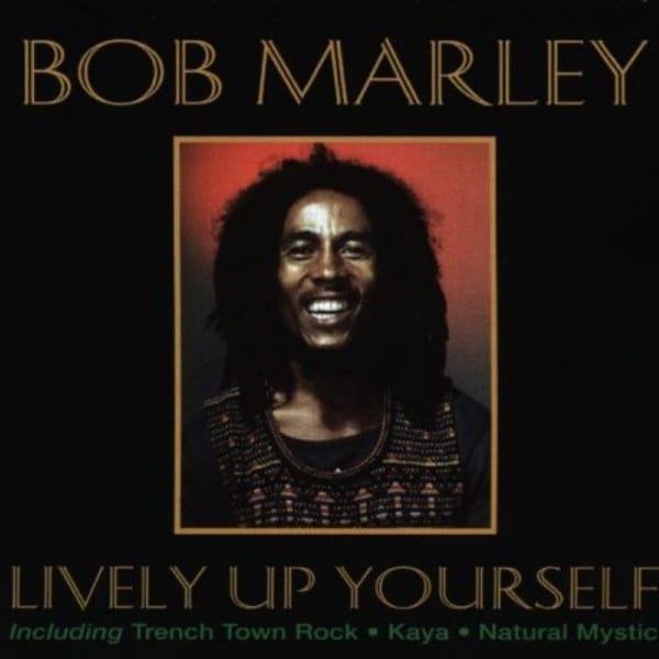 Lively Up Yourself cover