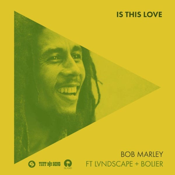 Is This Love cover