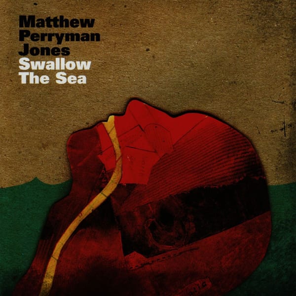 Swallow the Sea cover