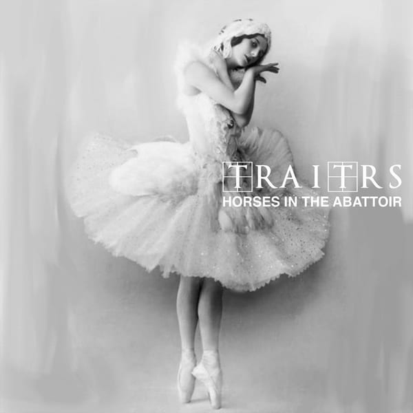 Horses in the Abattoir cover