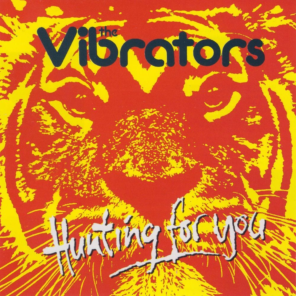 Hunting for You cover