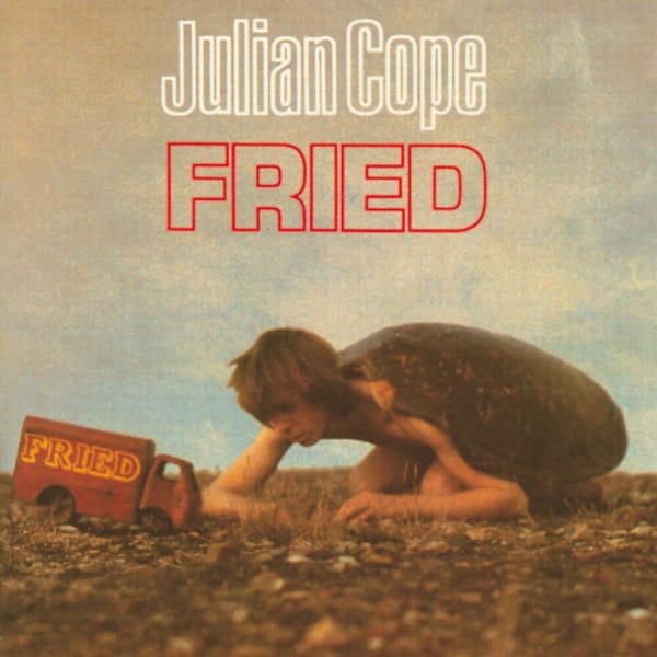 Fried cover