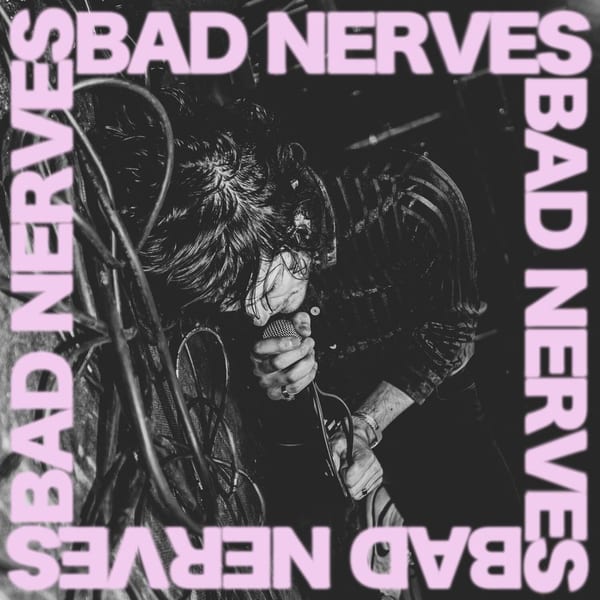 Bad Nerves cover