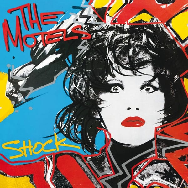 Shock cover