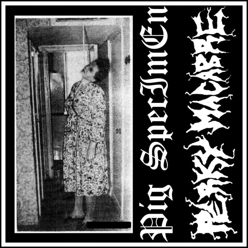 SPLIT cover