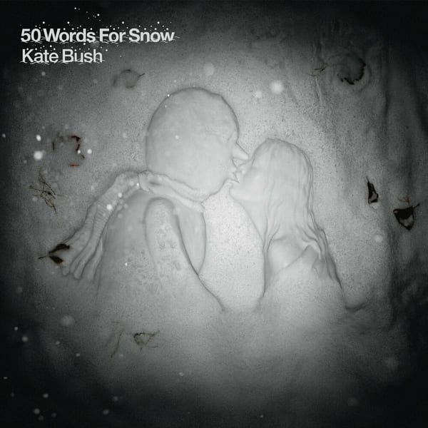 50 Words for Snow cover