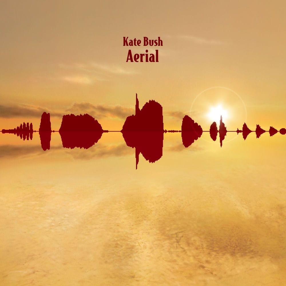 Aerial cover