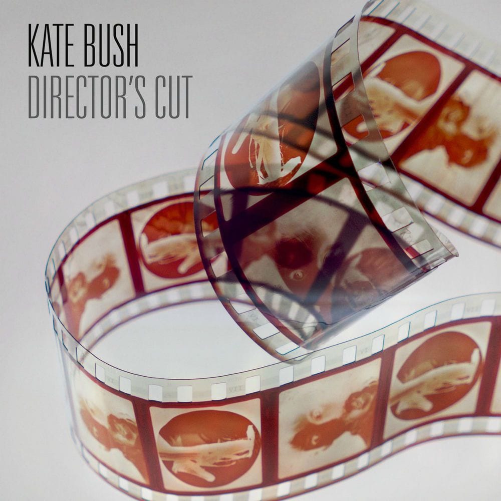 Director's Cut cover
