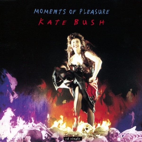 Moments of Pleasure cover