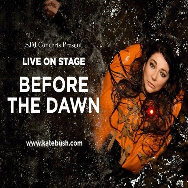 Before the Dawn (Live) cover