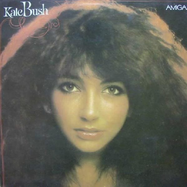 Kate Bush cover