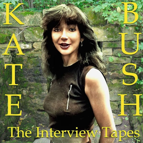 The Interview Tapes cover