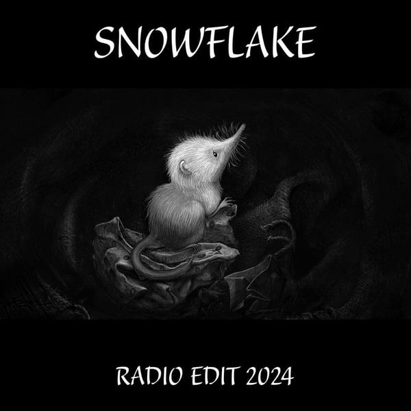 Snowflake (Radio Edit 2024) cover