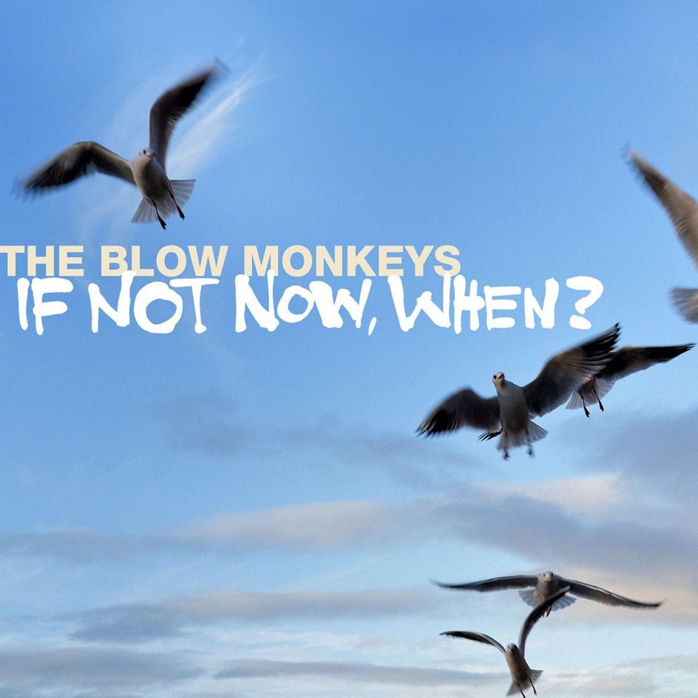 If Not Now, When ? cover