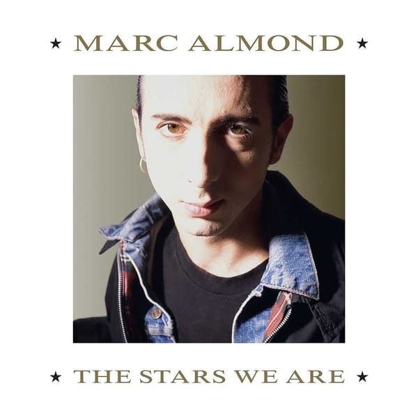 The Stars We Are cover