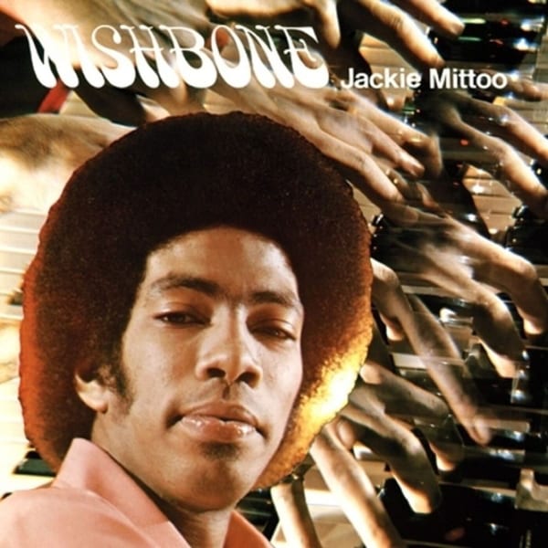 Wishbone cover