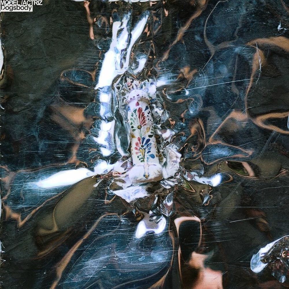 Dogsbody cover