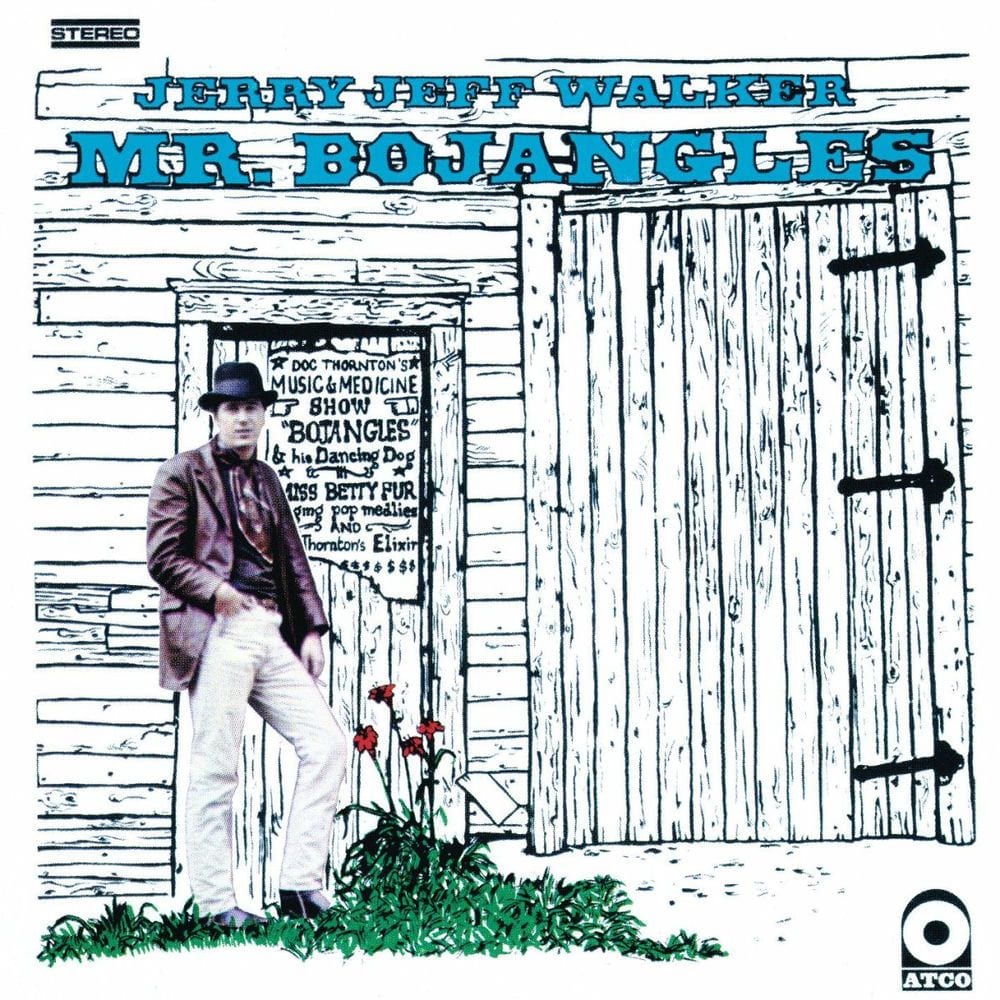 Mr. Bojangles cover
