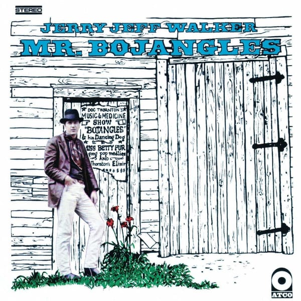Mr. Bojangles cover
