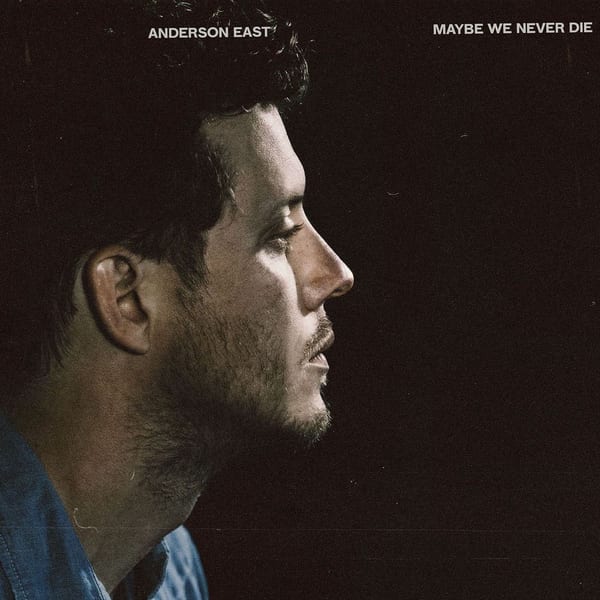Maybe We Never Die cover