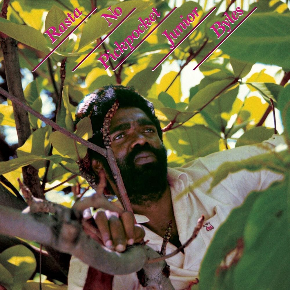 Rasta No Pickpocket cover