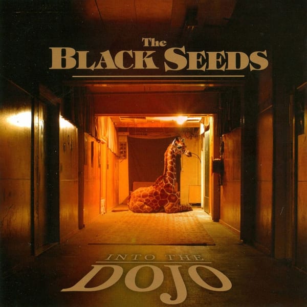 Into the Dojo cover