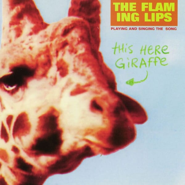 This Here Giraffe cover