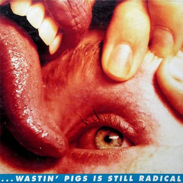 Wastin' Pigs (Extended Single Version) cover