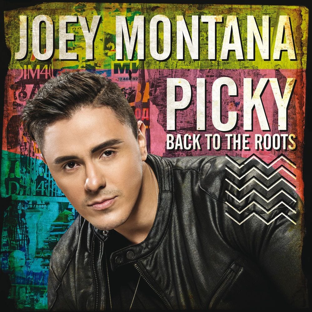 Picky Back To the Roots cover