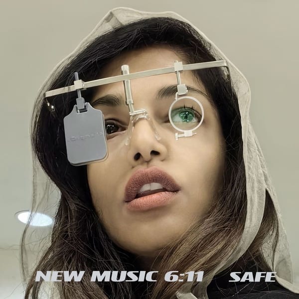 SAFE cover