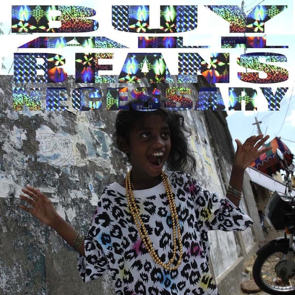 BirdFlu cover