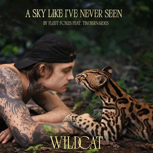 A Sky Like I've Never Seen (From the Amazon Original Movie "Wildcat") cover