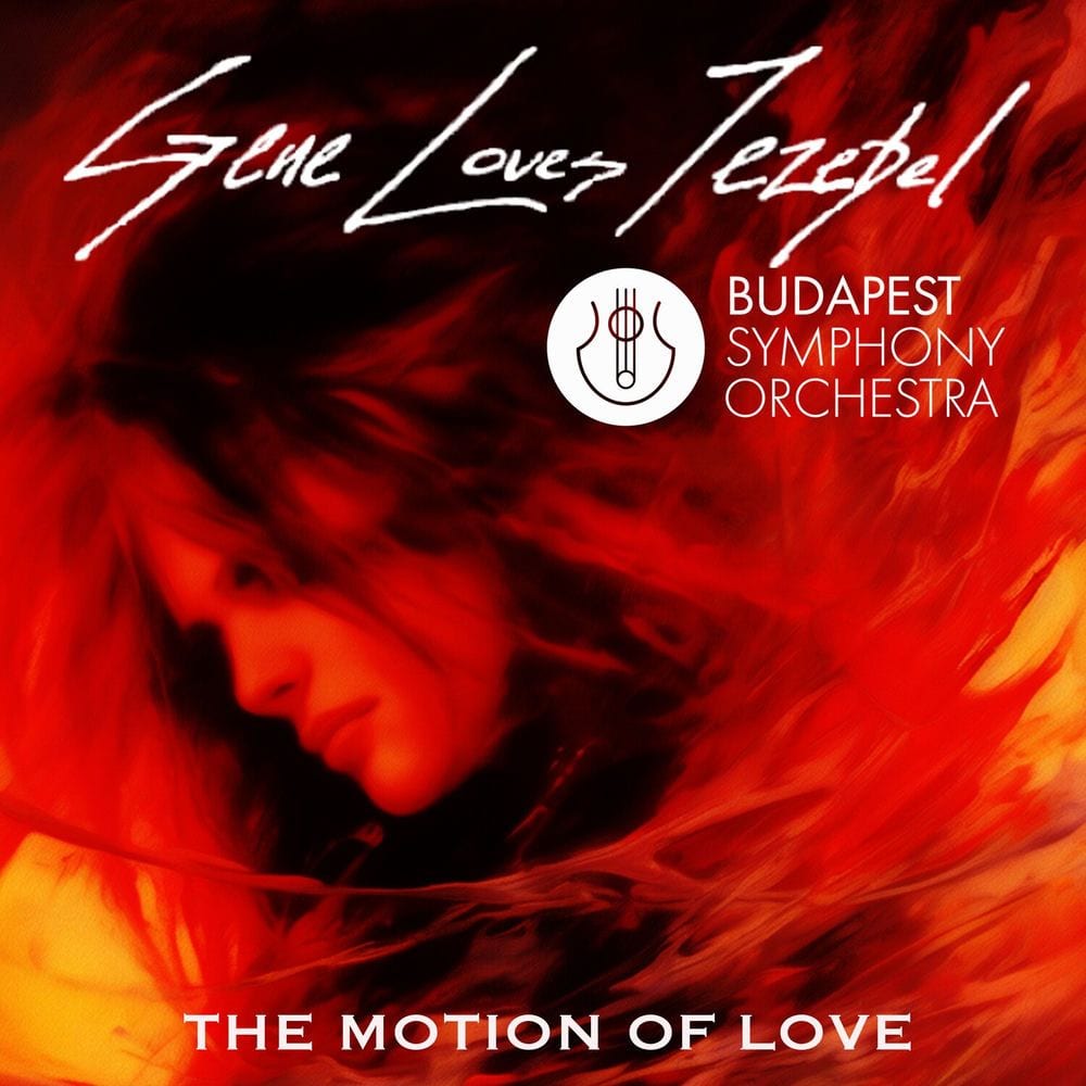 The Motion Of Love (Re-Recorded) [Orchestral Version] - Single cover